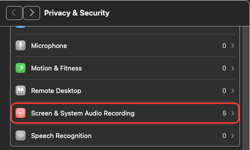 The Privacy and Security page of System Settings on macOS 15. A red outline marks the row Screen and System Audio Recording.