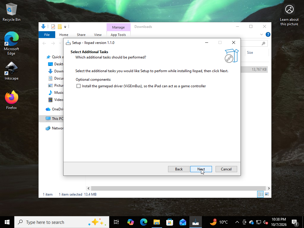 Select Additional Tasks page with the unticked option to install the ViGEmBus gamepad driver